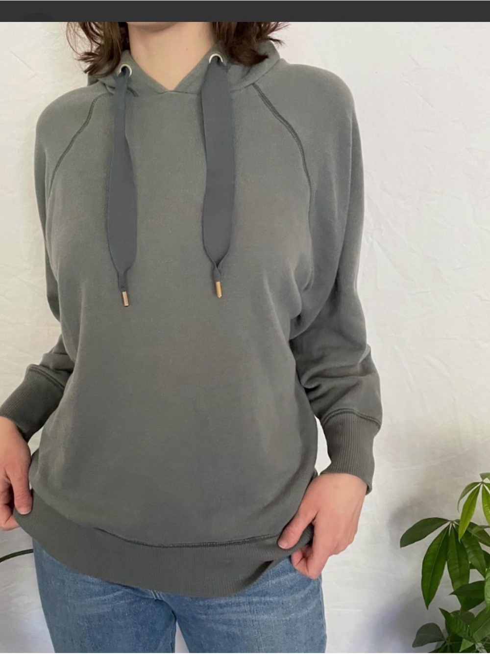 aerie Relaxed Pullover Hoodie SZ M